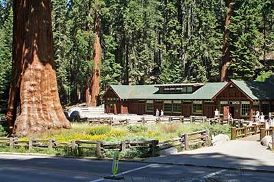 Lodging Near Kings Canyon National Park / Sequoia And Kings Canyon Lodging - At travelocity, prices for kings canyon national park big stump entrance hotels range from $88 per night to $339 per night.