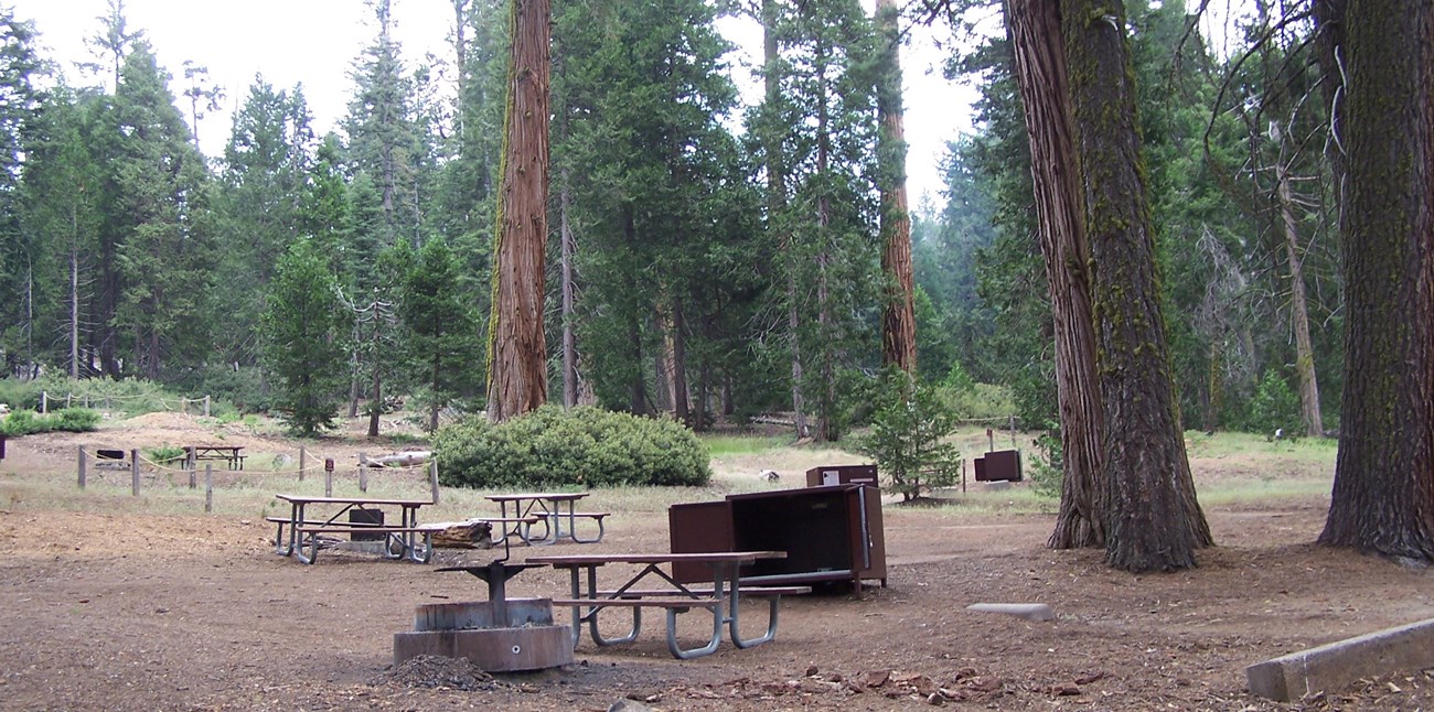 Grant Grove Campground sites, with food storage boxes and picnic tables; located in mature forest.