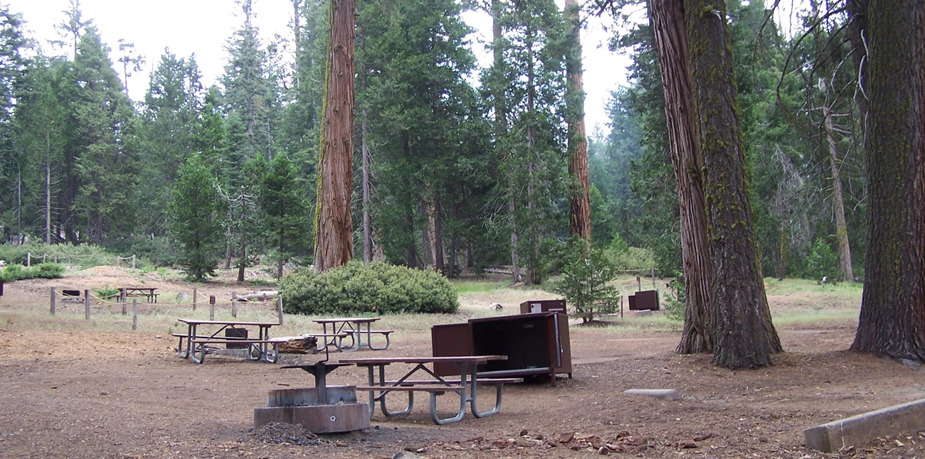 Grant Grove Campground Grant Grove Campground sites, with food storage boxes and picnic tables; located in mature forest.
