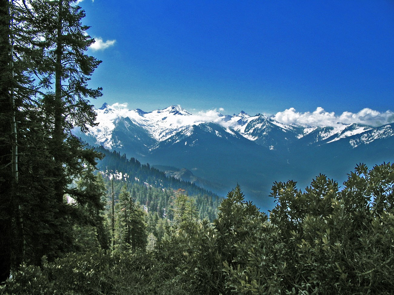 A look over a tree-covered mountain slope with snow-capped mountain peaks in the distance.