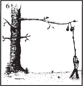 Counterbalancing Food - Sequoia & Kings Canyon National Parks (U.S.  National Park Service)