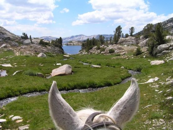 Horse ears and view from Rock Creek Pack Station