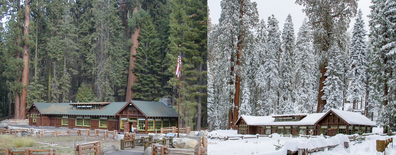 An image depicting the Giant Forest Museum on a summer day, compared to a photo of it blanketed in snow in the winter.