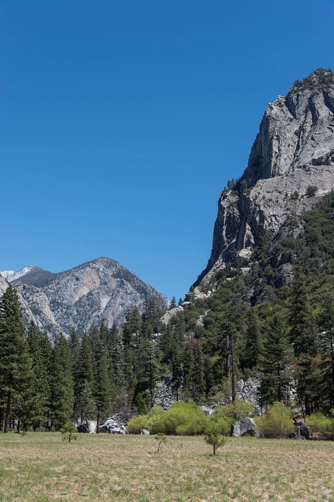 A large granite wall nestled in a meadow. In the distance, another large granite structure can be seen.