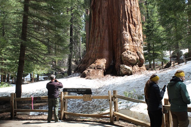 Current Conditions - Sequoia & Kings Canyon National Parks (U.S.