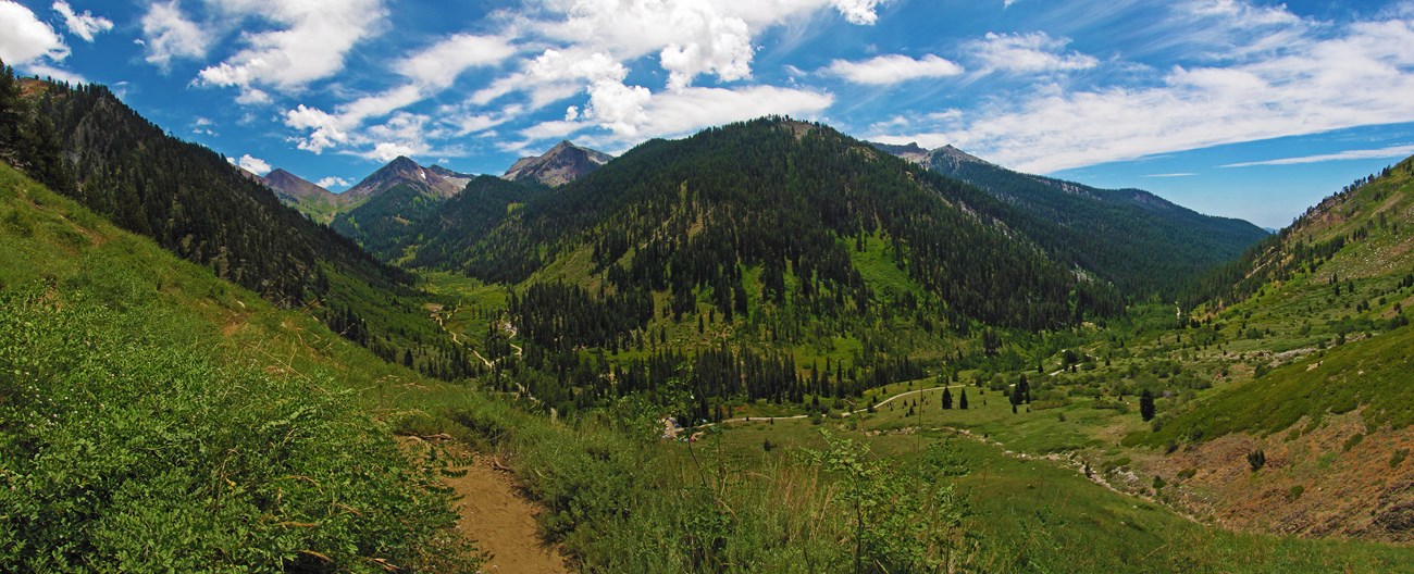 a trail runs through a valley in Mineral King