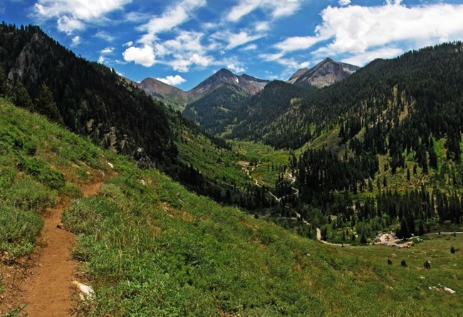 A trail in Mineral King Valley