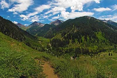 A view looking down into Mineral King Valley