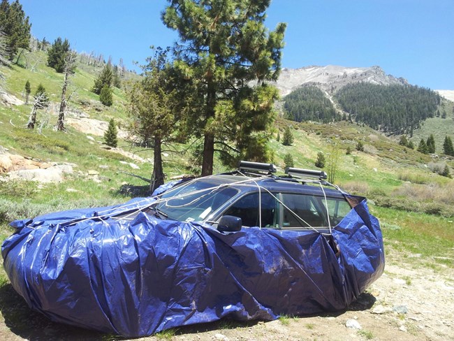 Car covered by tarp