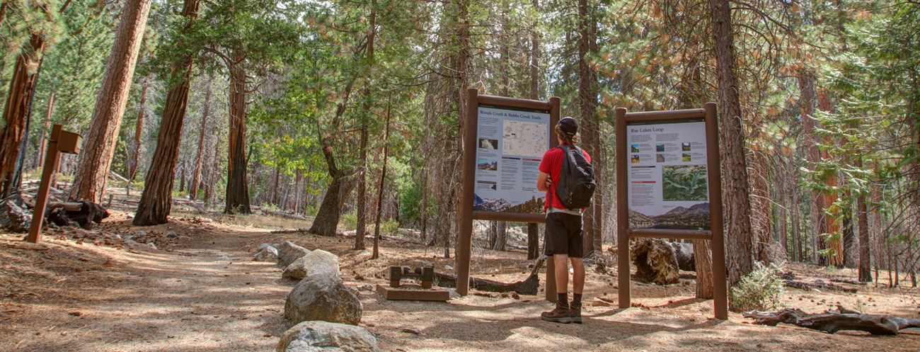 a hiker looks at a trailhead panel