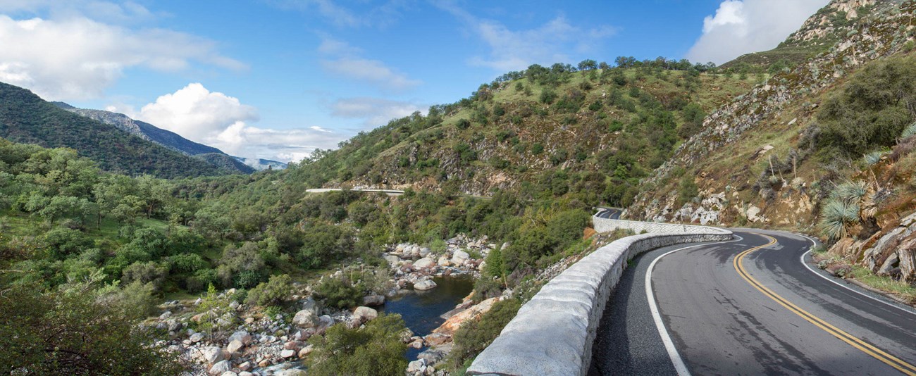 Image from the General's Highway of the roadway, green spring vegetation, and the Kaweah River.
