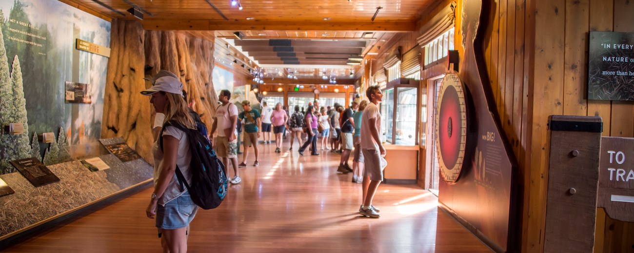 visitors view exhibits in a rustic museum