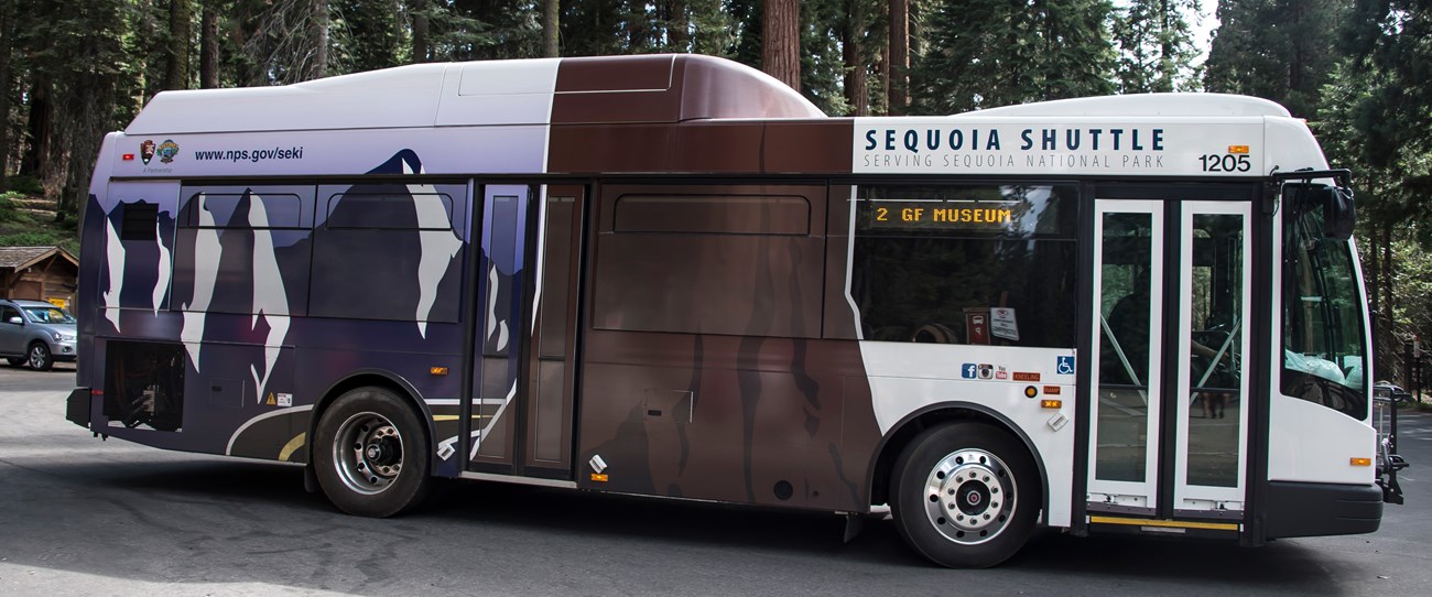 A large bus in the Giant Forest