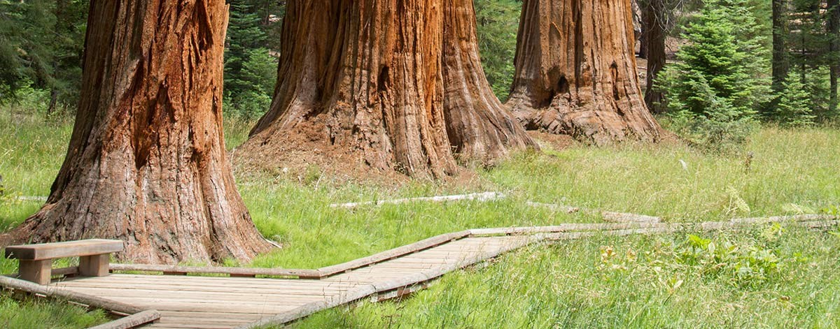 Sequoia National Park Hiking Trails Day Hiking - Sequoia & Kings Canyon National Parks (U.s. National Park  Service)