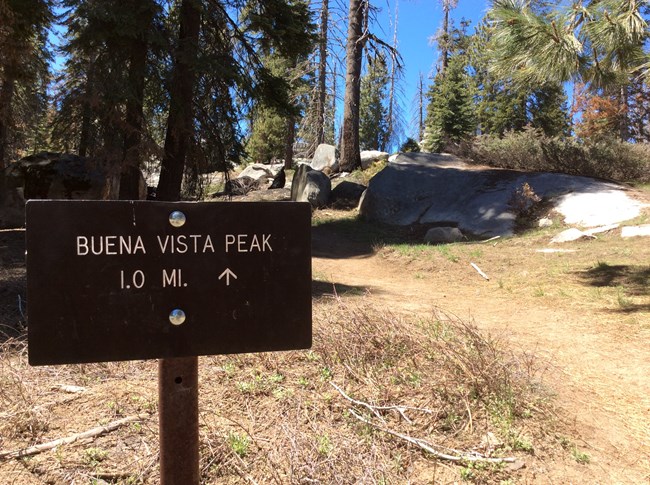 A small trail distance marker at the base of the Buena Vista Peak trail