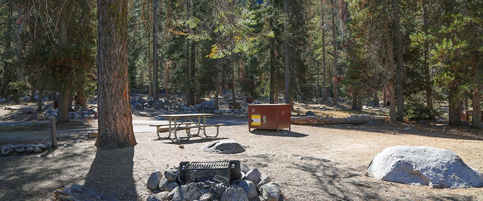 A campsite with a picnic table and metal food-storage box