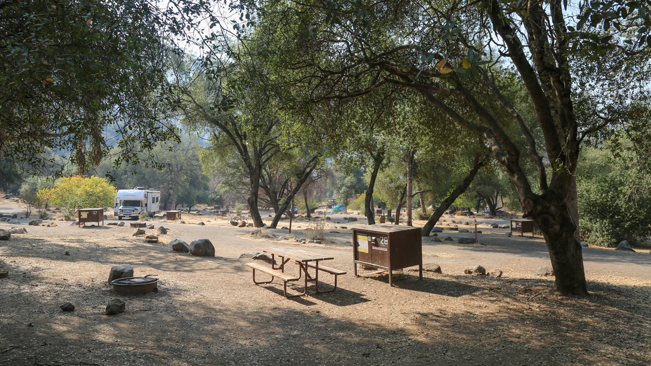 Several campsites with food storage boxes surrounded by oak woodlands.