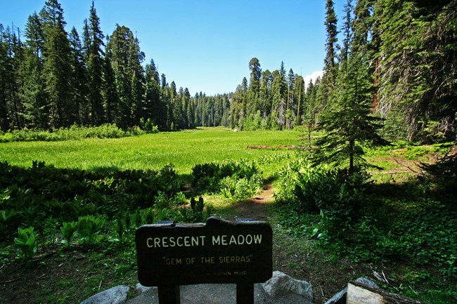 Crescent Meadow