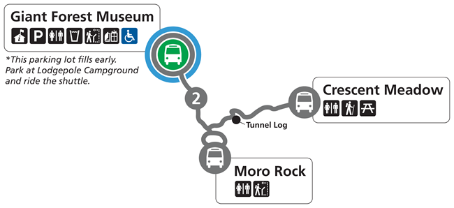 A map that shows shuttle Route 2 in the Giant Forest area of Sequoia National Park. Route 2, indicated with gray line, serves Giant Forest Museum, Moro Rock, and Crescent Meadow.