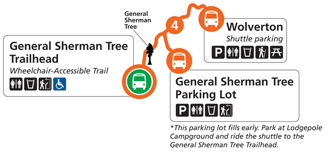 A map that shows shuttle Route 4 in the Giant Forest area of Sequoia National Park. Route 4, indicated with an orange line, serves the General Sherman Tree Trailhead, General Sherman Tree Parking Lo,t and Wolverton.