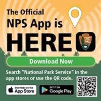 an image of the NPS Mobile icon