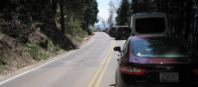 cars wait in a long line on the road
