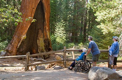A group of visitors travel along accessible, paved Grant Tree Trail.