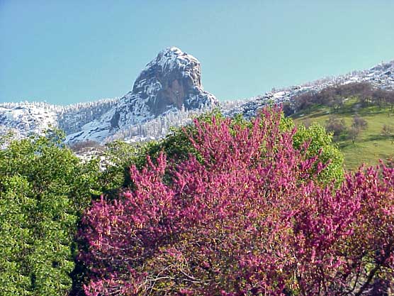 A spring storm dusts Moro Rock with snow A spring storm dusts Moro Rock with snow