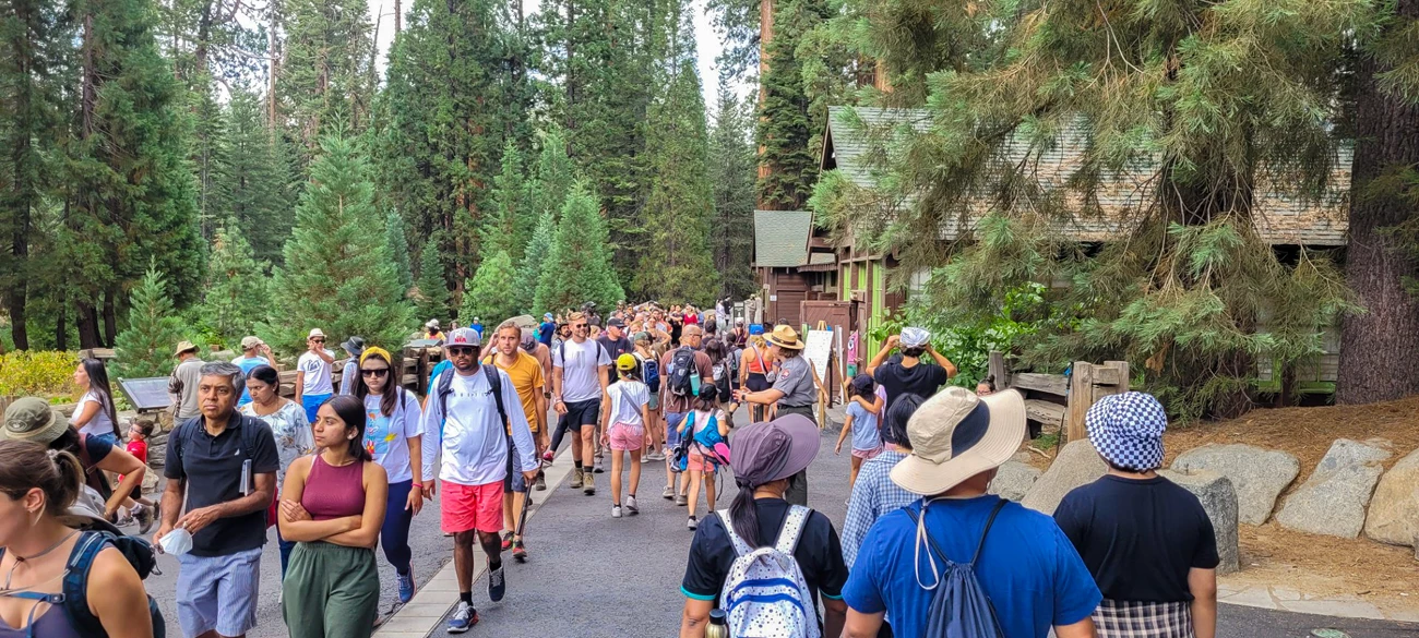 A crowd of visitors walks around the giant forest museum pavillion. Somewhere in the crowd, a ranger interacts with a visitor.