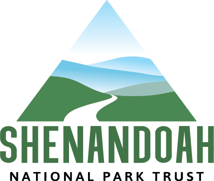 SNPT Logo_Stacked CMYK 6-2021