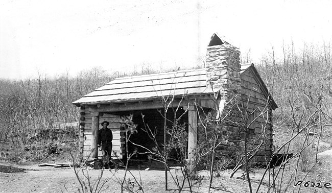 Pocosin Shelter