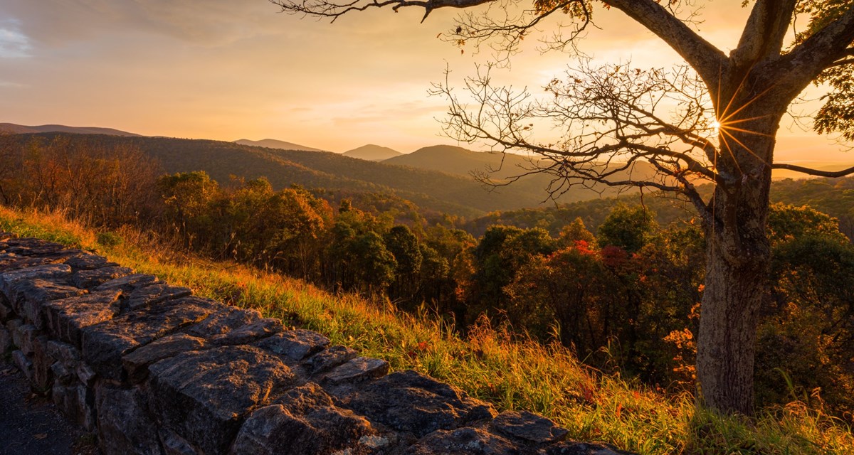 The sun rises in between the branches of a tree at an overlook, casting a red hue over the hills and mountains. The sun rises in between the branches of a tree at an overlook, casting a red hue over the hills and mountains.