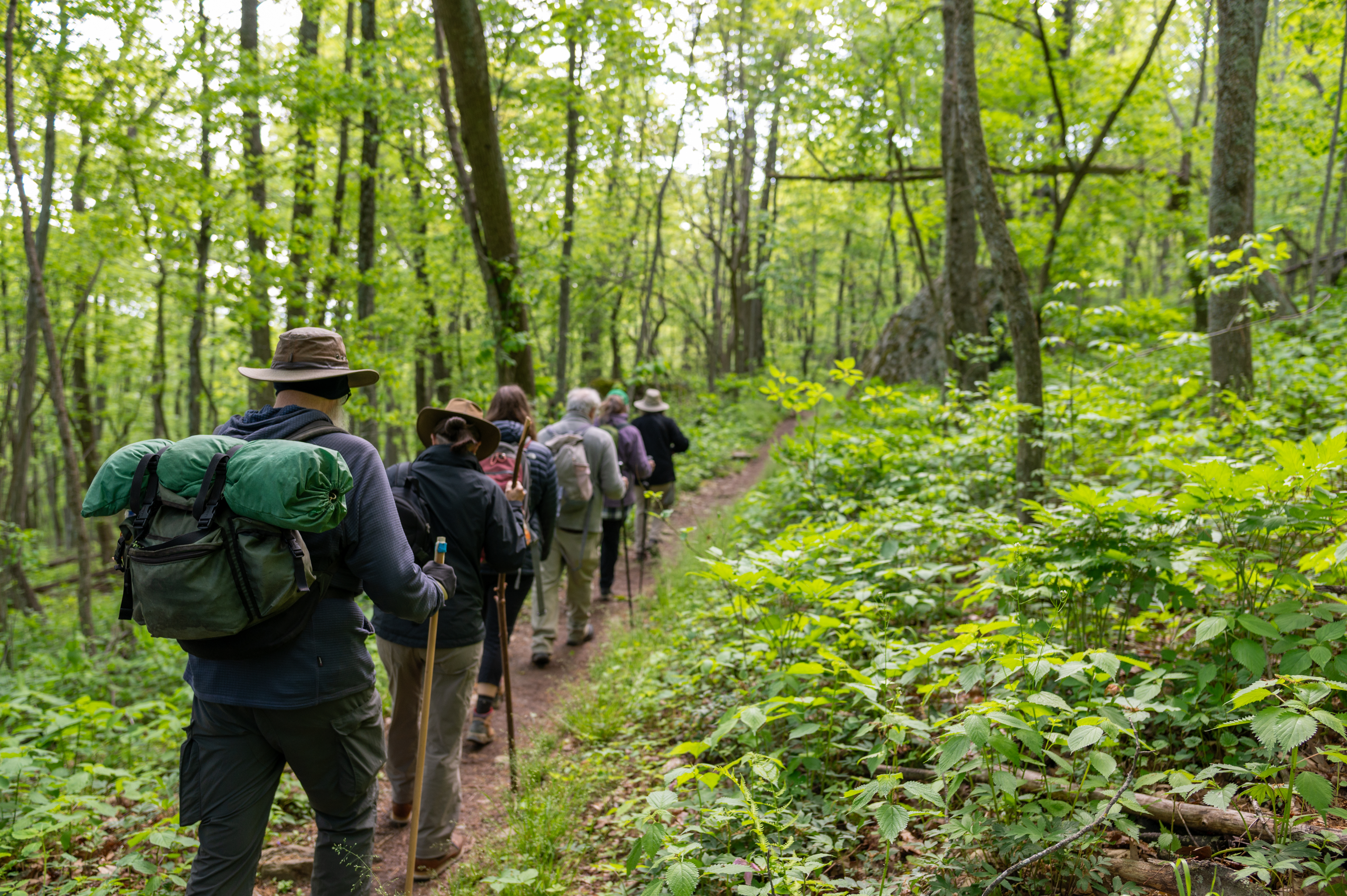 Hikers on the Hightop Summit Trail