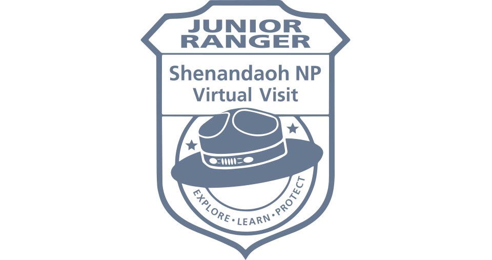 A logo of an arrowhead with the words Shenandoah National Park Virtual Junior Ranger in the middle of it