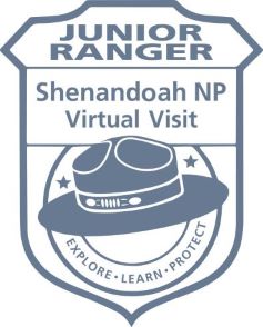 A logo of an arrowhead with the words Shenandoah National Park Virtual Junior Ranger in the middle of it