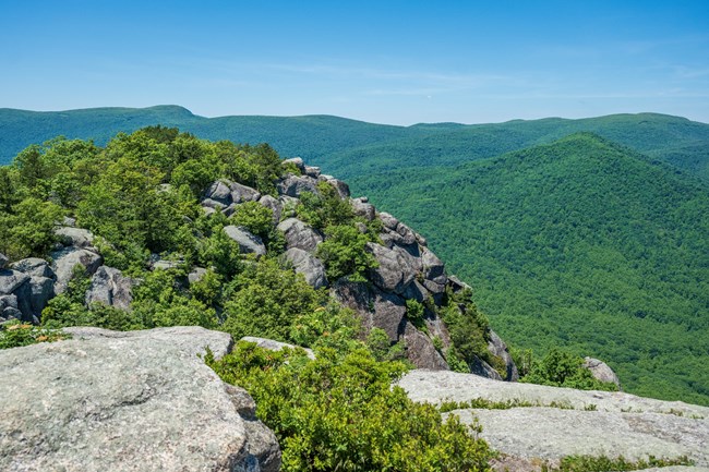 The summit of a mountain covered in large boulders and trees, set against forested mountains under a blue sky.