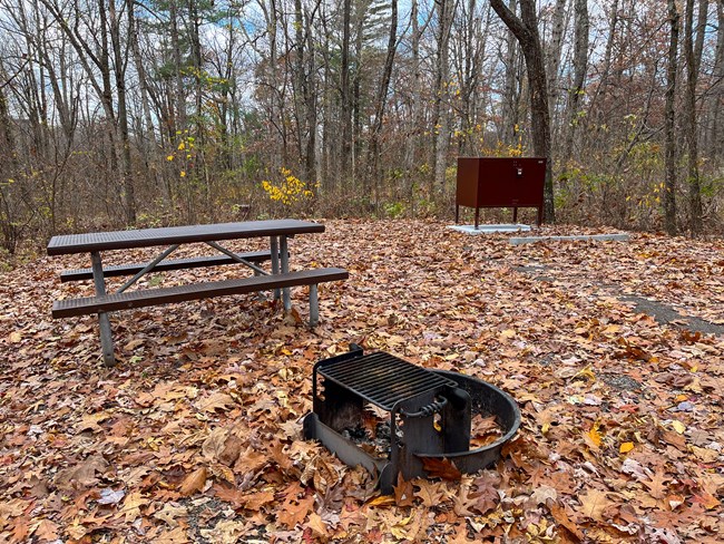 Campsite with picnic table, fire ring, and bear box left to right