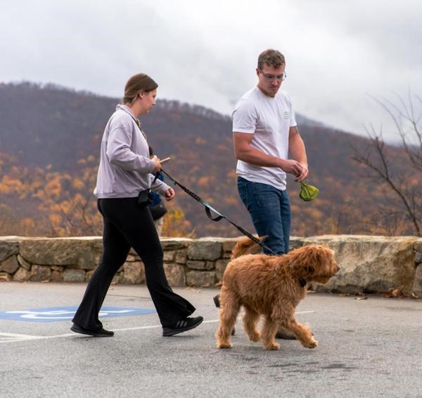Shenandoah National Park visitors with brown fluffy dog on a leash. Orange and brown tree mountains with natural stone wall is in the background.