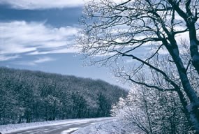 Ice along Skyline Drive