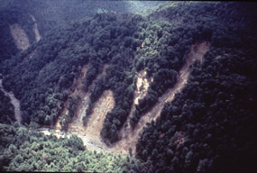 Nature and Science Nature and Science