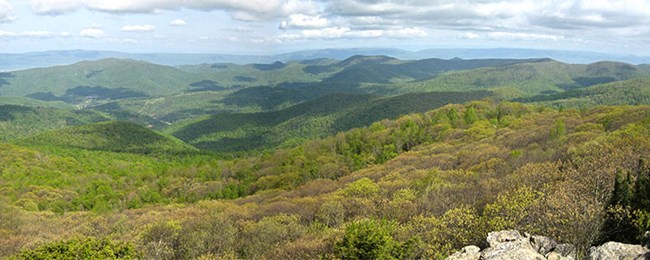 View from Bearfence Mountain