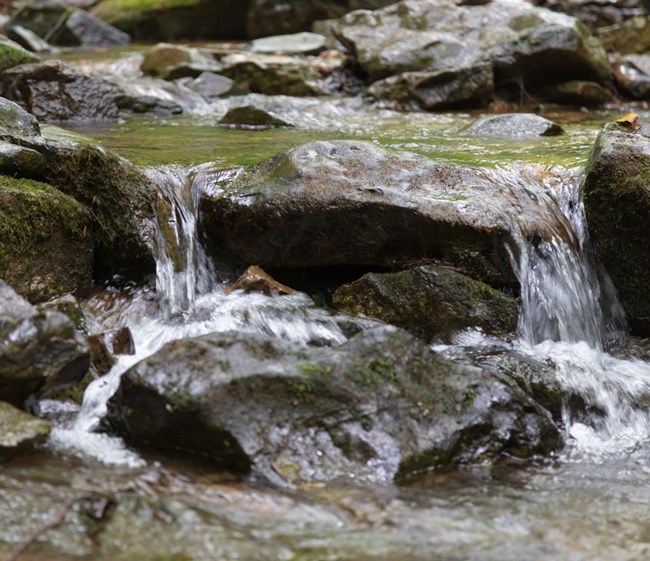 Clear water flows over rocks in a mountain stream.
