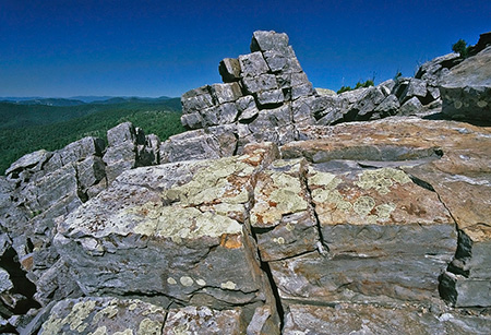 Lichen-covered quartzite at Blackrock Lichen-covered quartzite at Blackrock