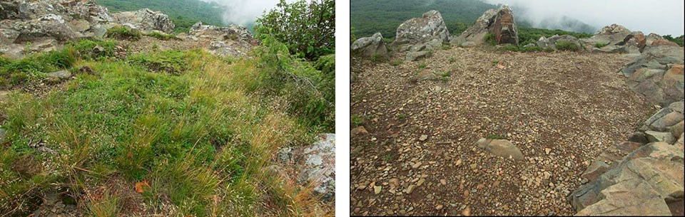Comparison on minor and severe human impacts on the ground by Little Stony Man Comparison on minor and severe human impacts on the ground by Little Stony Man