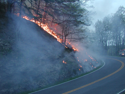Blackrock prescribed fire burns along Skyline Drive. Blackrock prescribed fire burns along Skyline Drive.