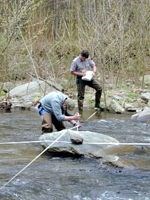 Resource staff monitoring aquatic habitat.