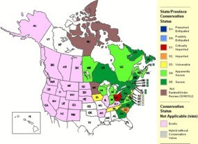 brook trout map