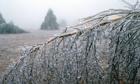 A winter ice storm creates a paradox of beauty and destruction. A winter ice storm creates a paradox of beauty and destruction.