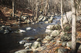 Nature and Science Nature and Science