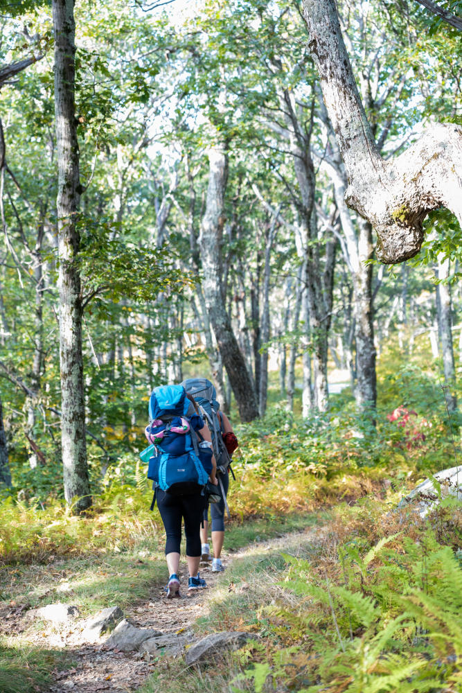 Two backpackers walk along a trail